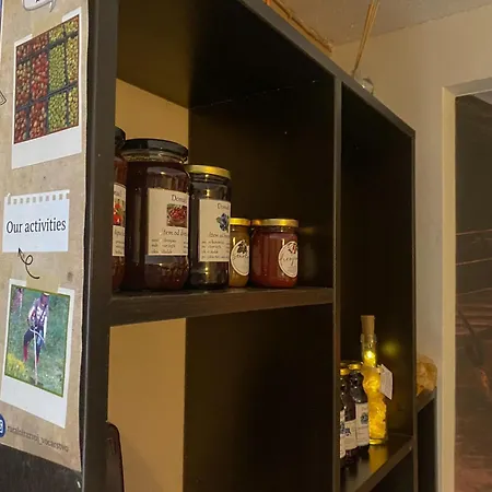 Daire Peaceful Alley