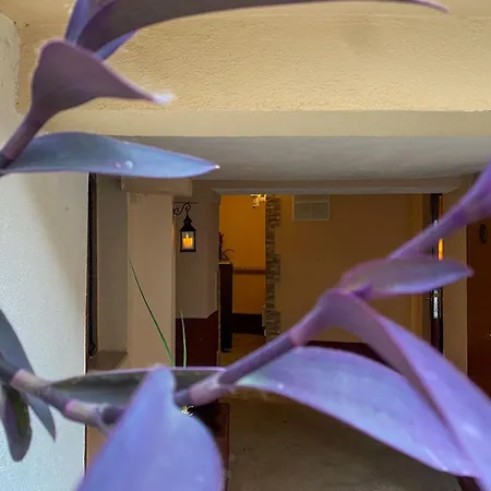 Daire Peaceful Alley