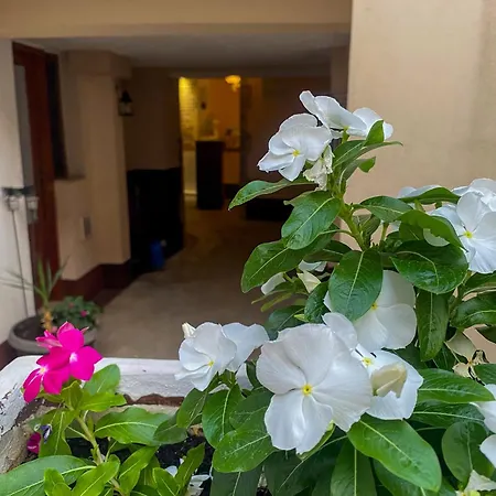 Peaceful Alley モスタル